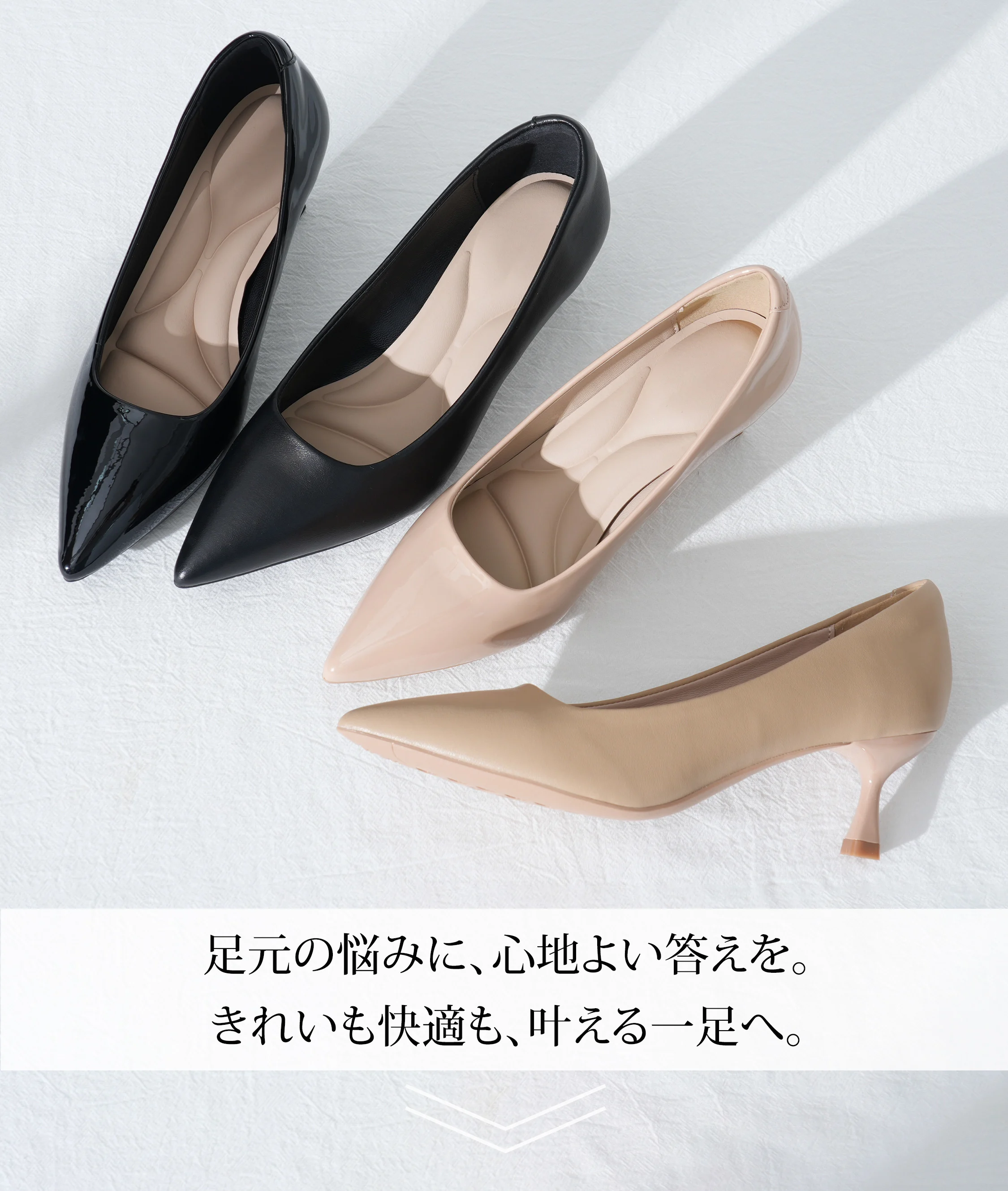 Panpusu-1342261-45.webp