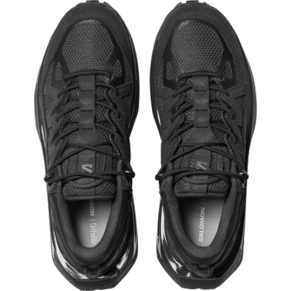 ODYSSEY ELM LOW