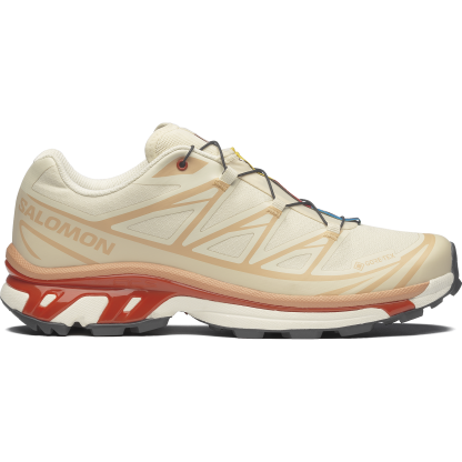 SALOMON XT-6 GORE-TEX