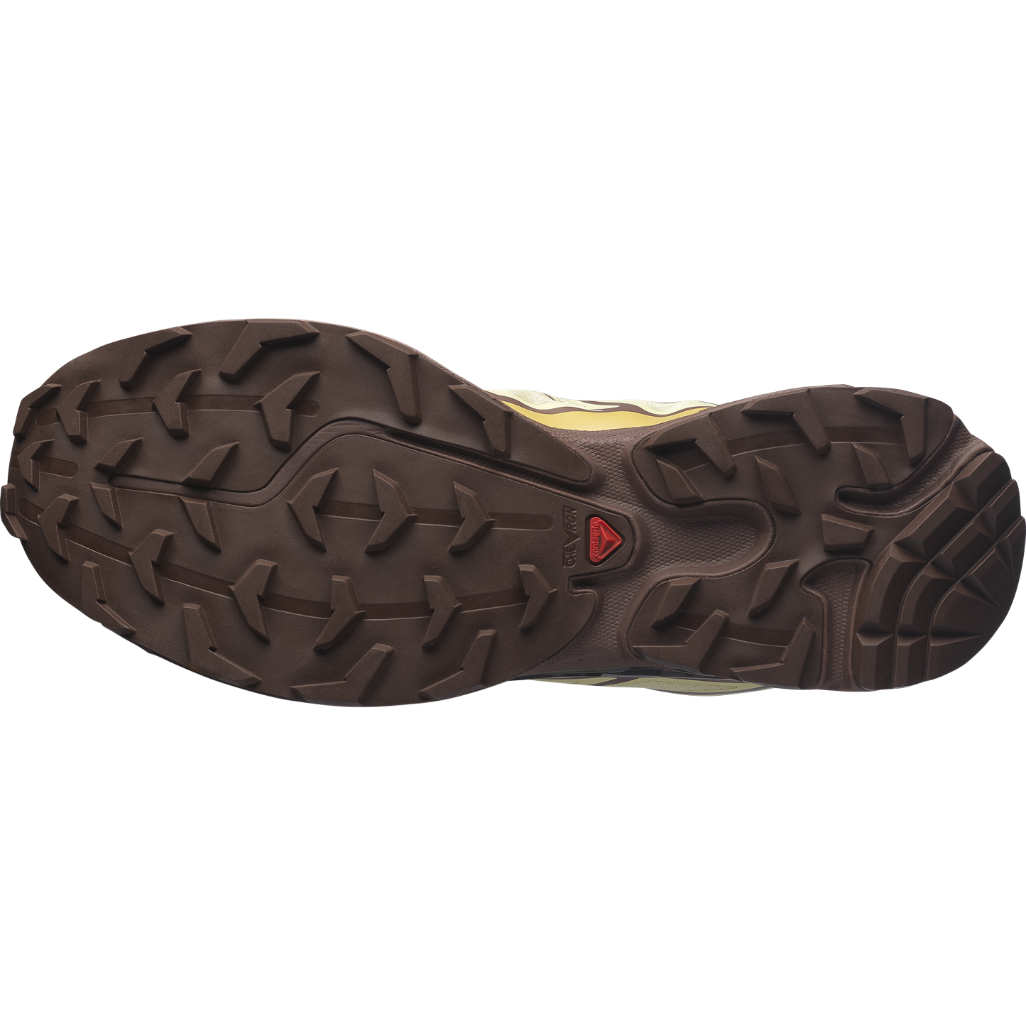 SALOMON XT-6