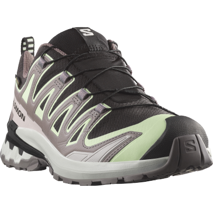 SALOMON XA PRO 3D V9 GTX