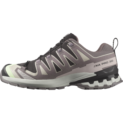 SALOMON XA PRO 3D V9 GTX