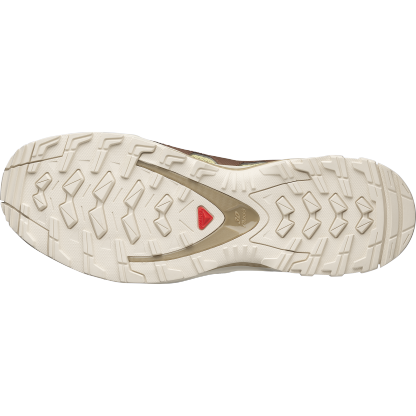 SALOMON XA PRO 3D AMPHIB