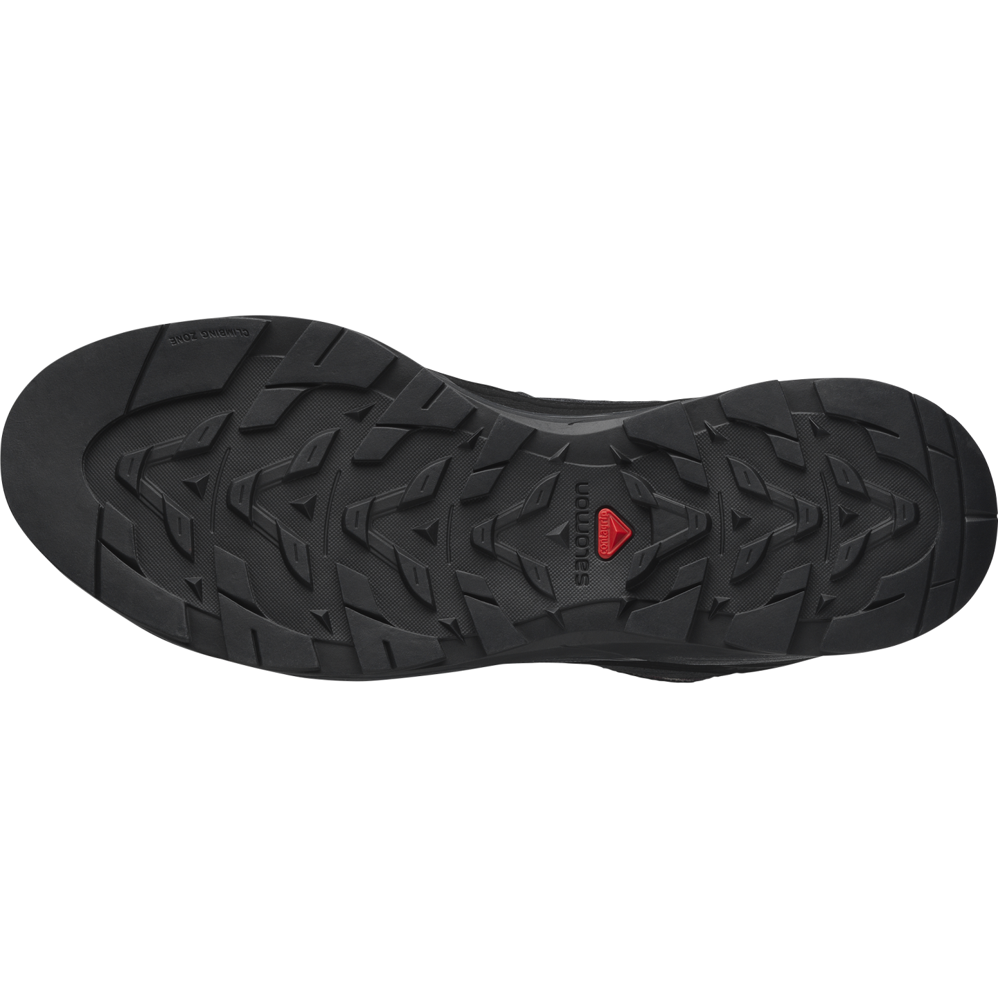 SALOMON X-ALP CARHARTT W.I.P