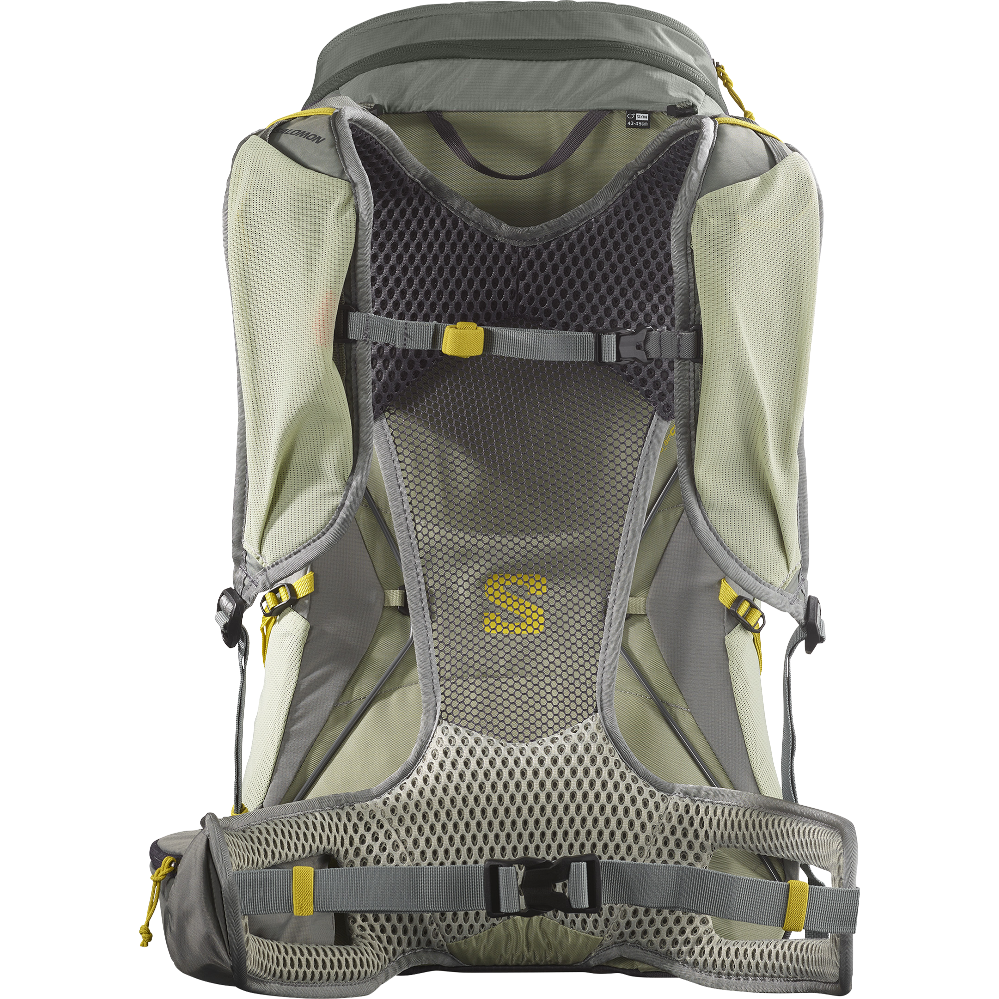Salomon