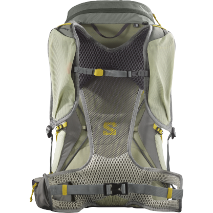 Salomon