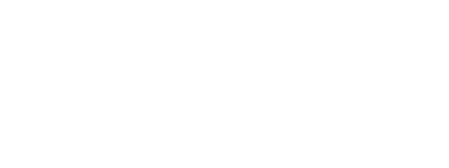 S/PLUS