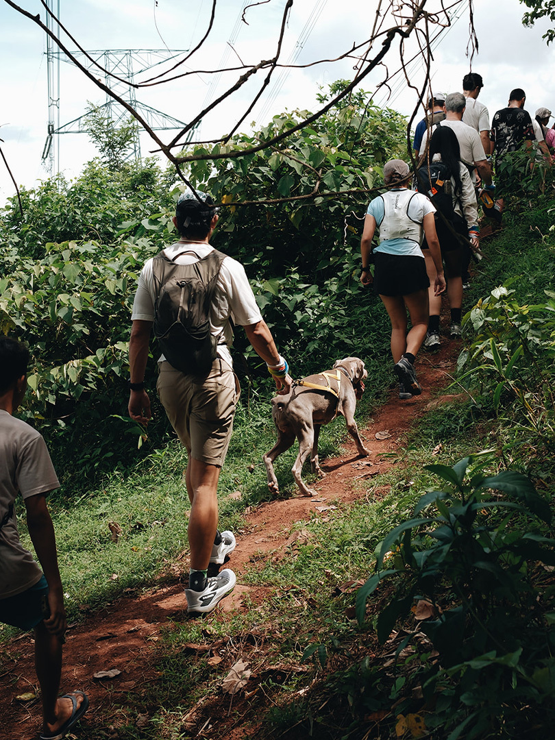 Salomon trail