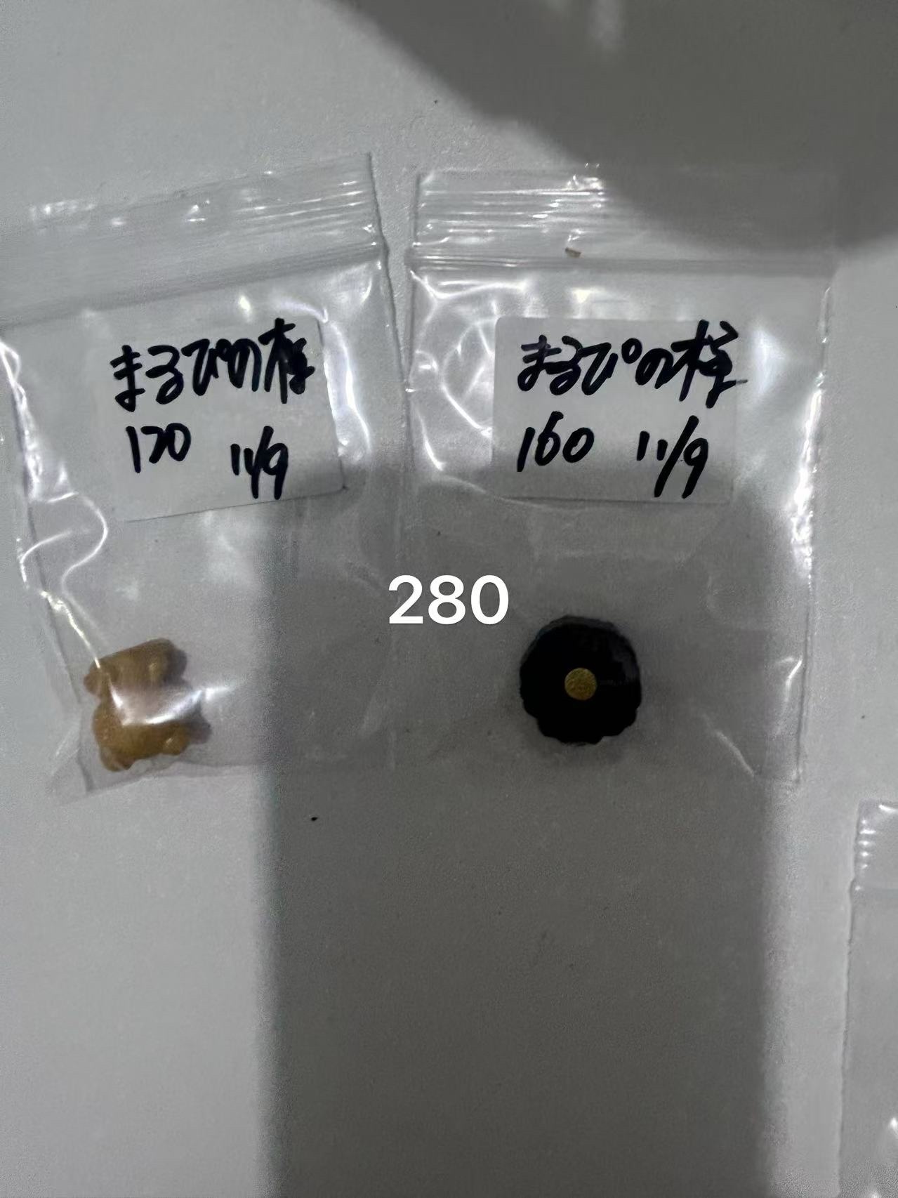 まるぴの様ページ