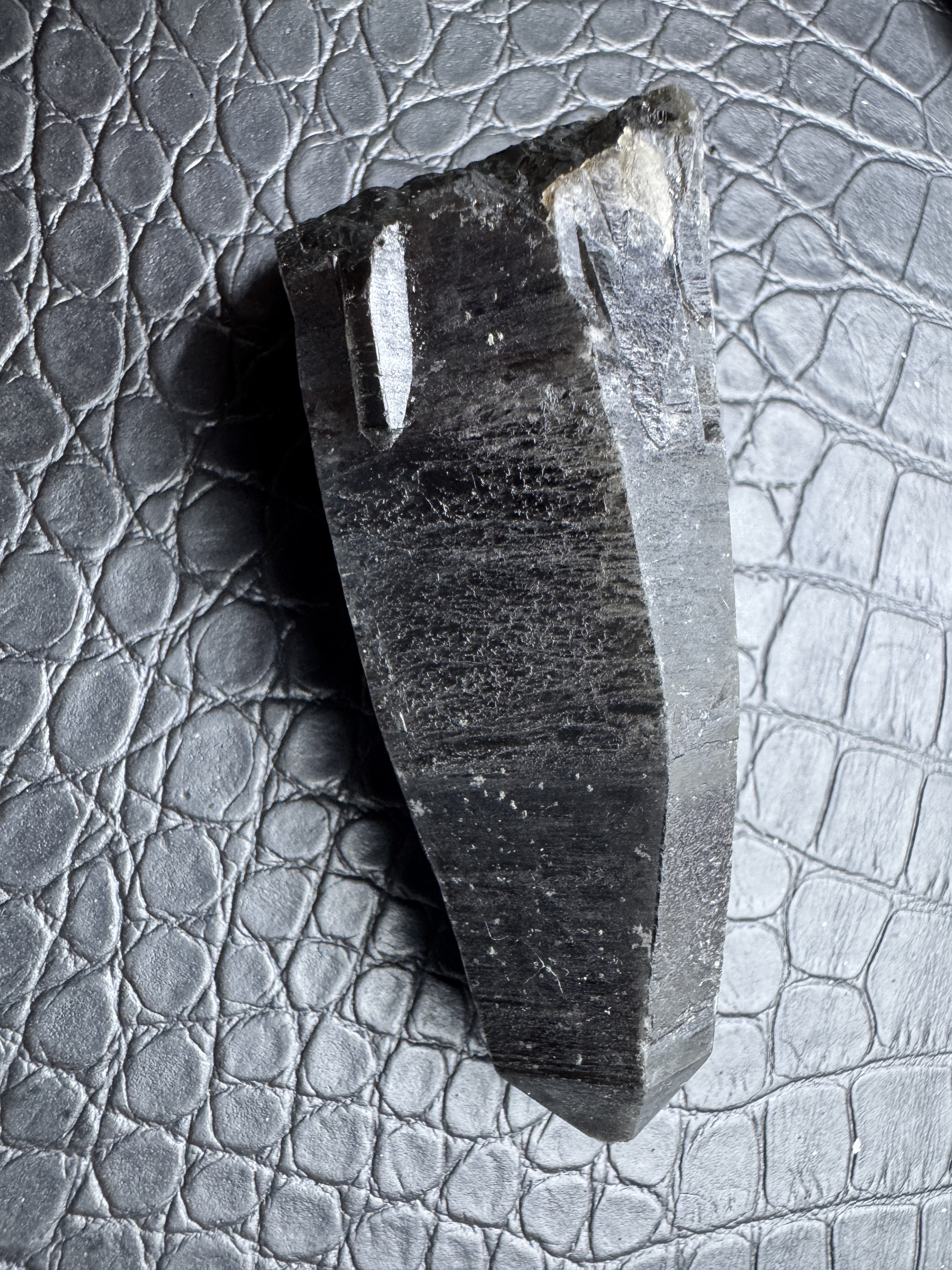 メテオ様専用ページ