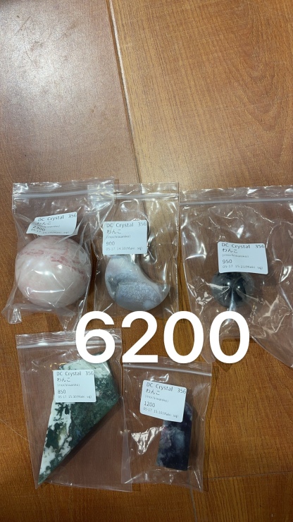 わんこ様専用ページ