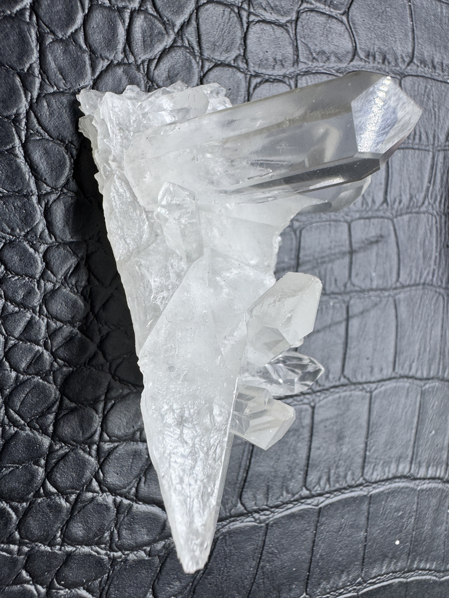 メテオ様専用ページ