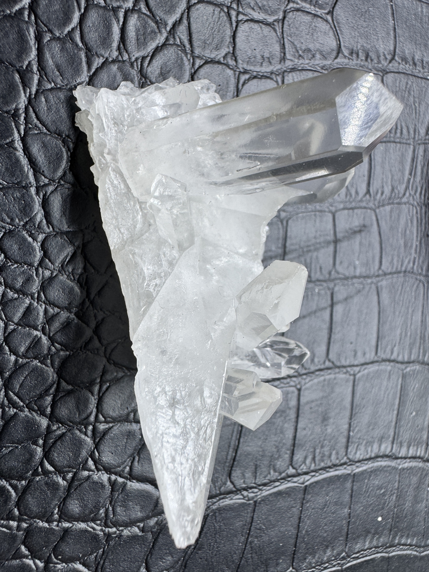 メテオ様専用ページ