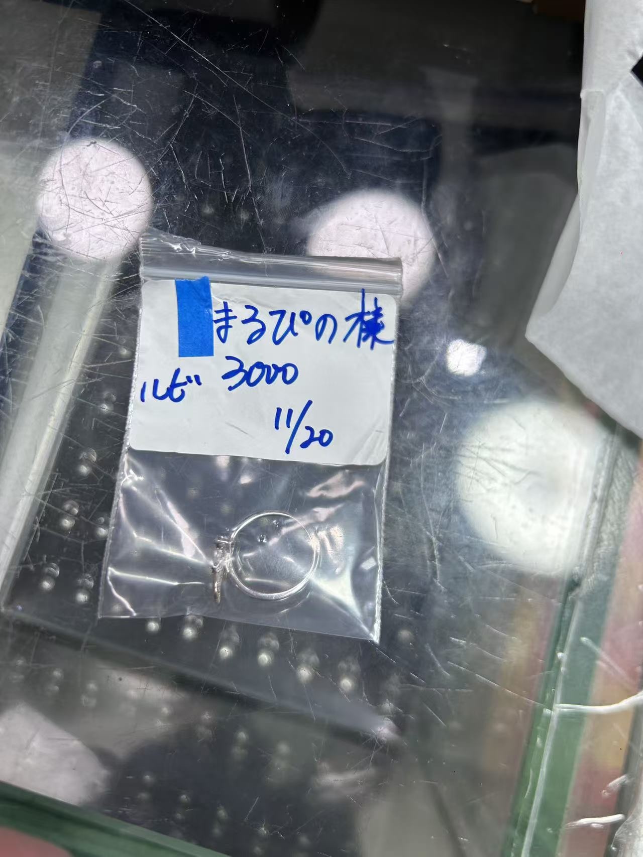 まるぴの様ページ