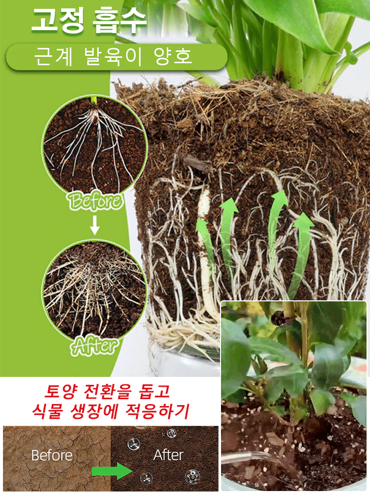 【미흡하면 환불해 드려요】빠른 뿌리 생성 액상❤️뿌리 강화/영양/건강화