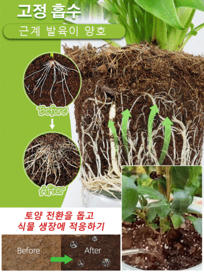 【미흡하면 환불해 드려요】빠른 뿌리 생성 액상❤️뿌리 강화/영양/건강화