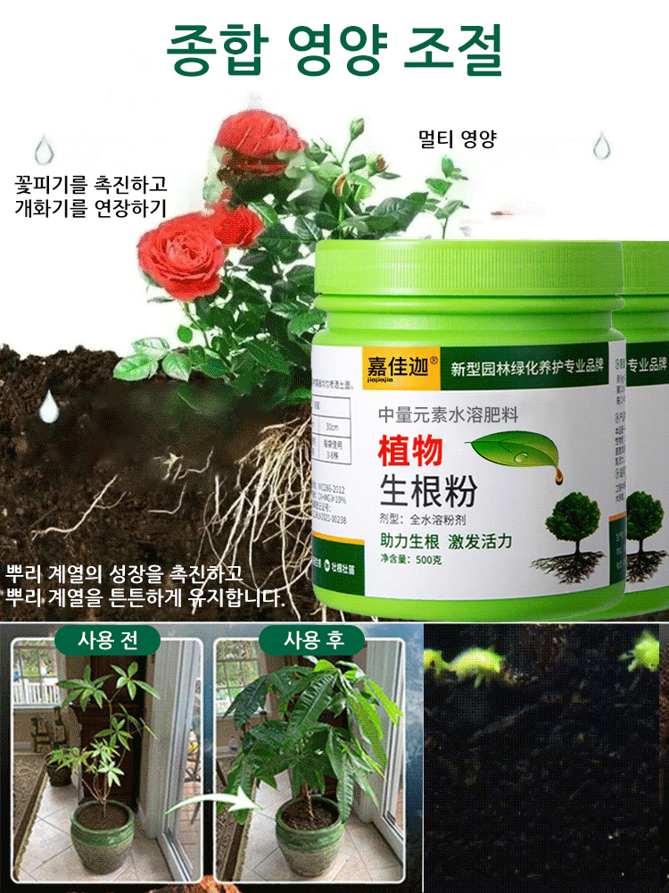 【미흡하면 환불해 드려요】빠른 뿌리 생성 액상❤️뿌리 강화/영양/건강화