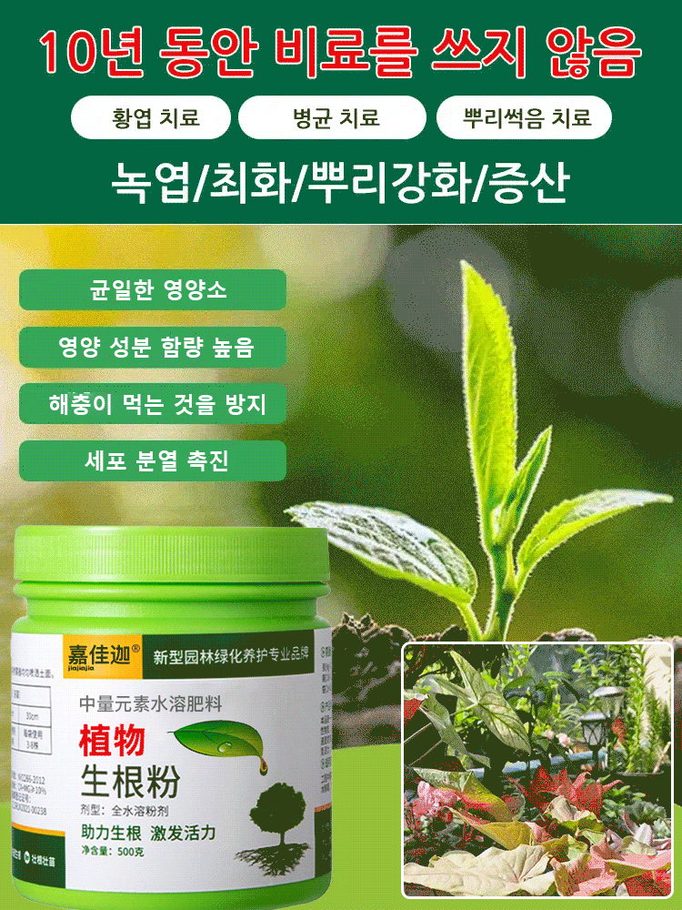 【미흡하면 환불해 드려요】빠른 뿌리 생성 액상❤️뿌리 강화/영양/건강화