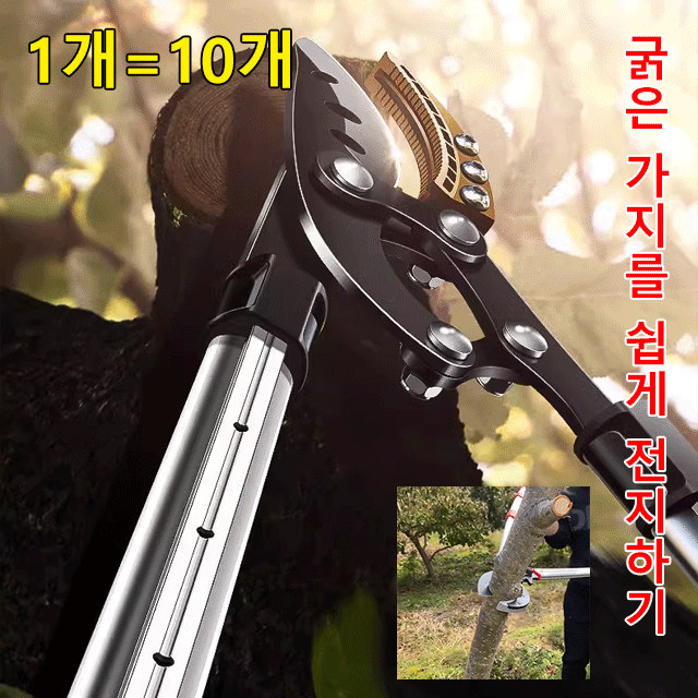 독일 정밀 과일나무 가지치기 가위❤️두꺼운 가지를 손쉽게 절단
