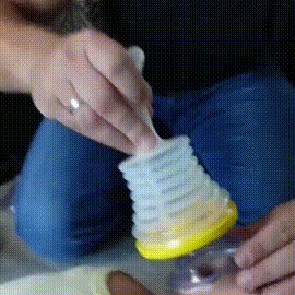 1_14.gif