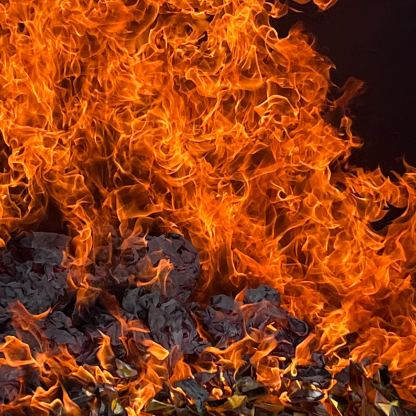 清明燒元寶祭祖