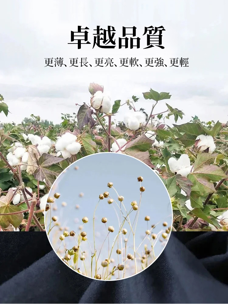 高腰寬褲襯衫棉麻套裝