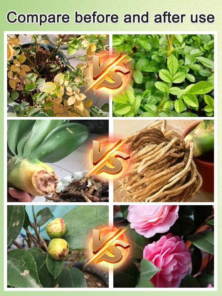 【Universal】Plant regeneration agent