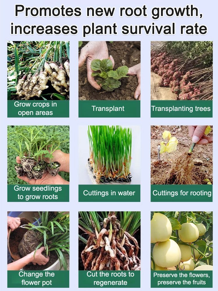 【Universal】Plant regeneration agent