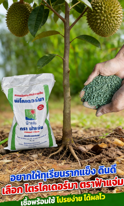 ปุ๋ยบำรุงรากสูตรเข้มข้น - ส่งเสริมรากให้แข็งแรง เร่งการเจริญเติบโต และป้องกันรากเน่า (ใช้ได้กับพืชทุกชนิด)