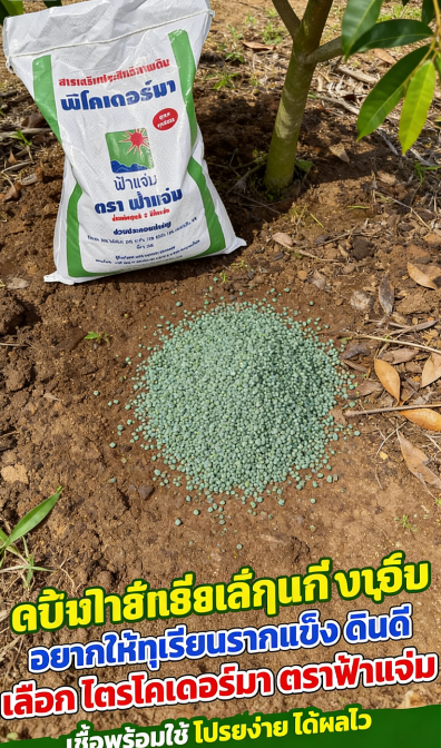 ปุ๋ยบำรุงรากสูตรเข้มข้น - ส่งเสริมรากให้แข็งแรง เร่งการเจริญเติบโต และป้องกันรากเน่า (ใช้ได้กับพืชทุกชนิด)