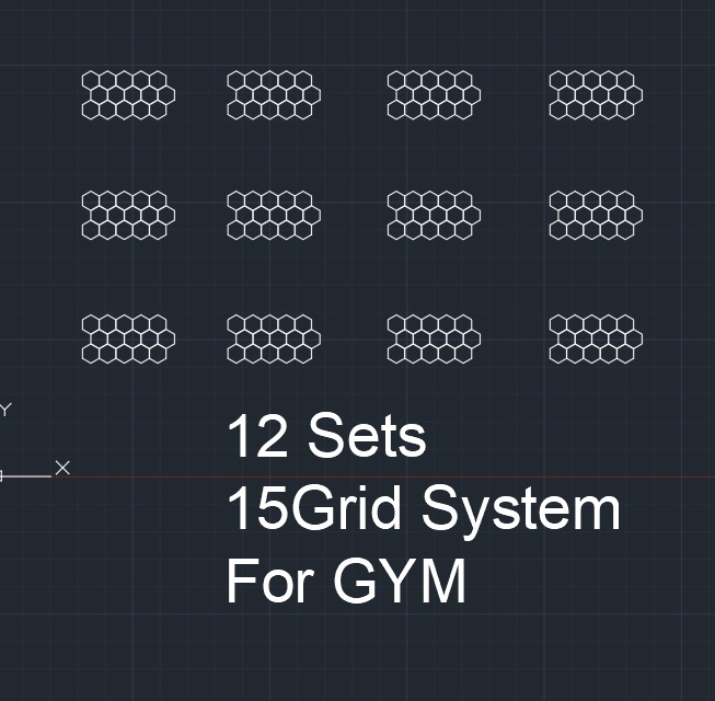 Custom Case-20*30m gym 12*15grid system shipping by air -2pin