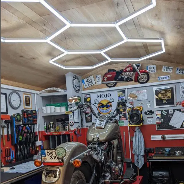 {"default":"customer reviews of hexagon garage lighting"}
