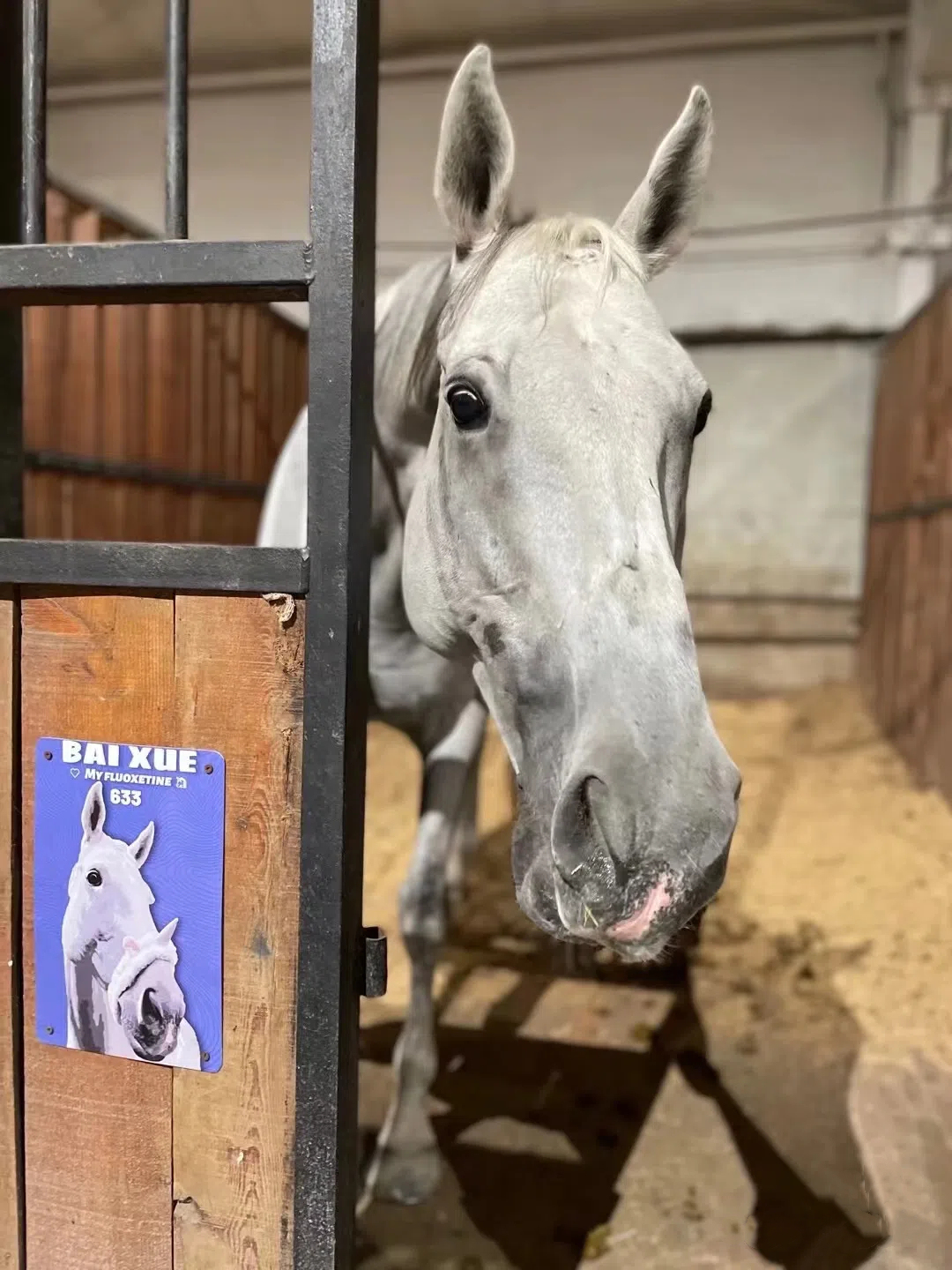 Custom Personalized Tin Sign