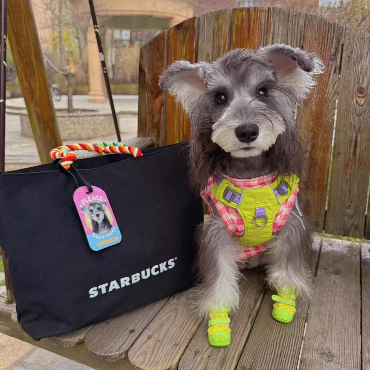 Custom Pet PU Leather Luggage Tag