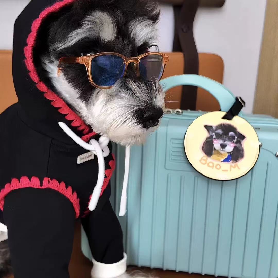 Custom Pet PU Leather Luggage Tag