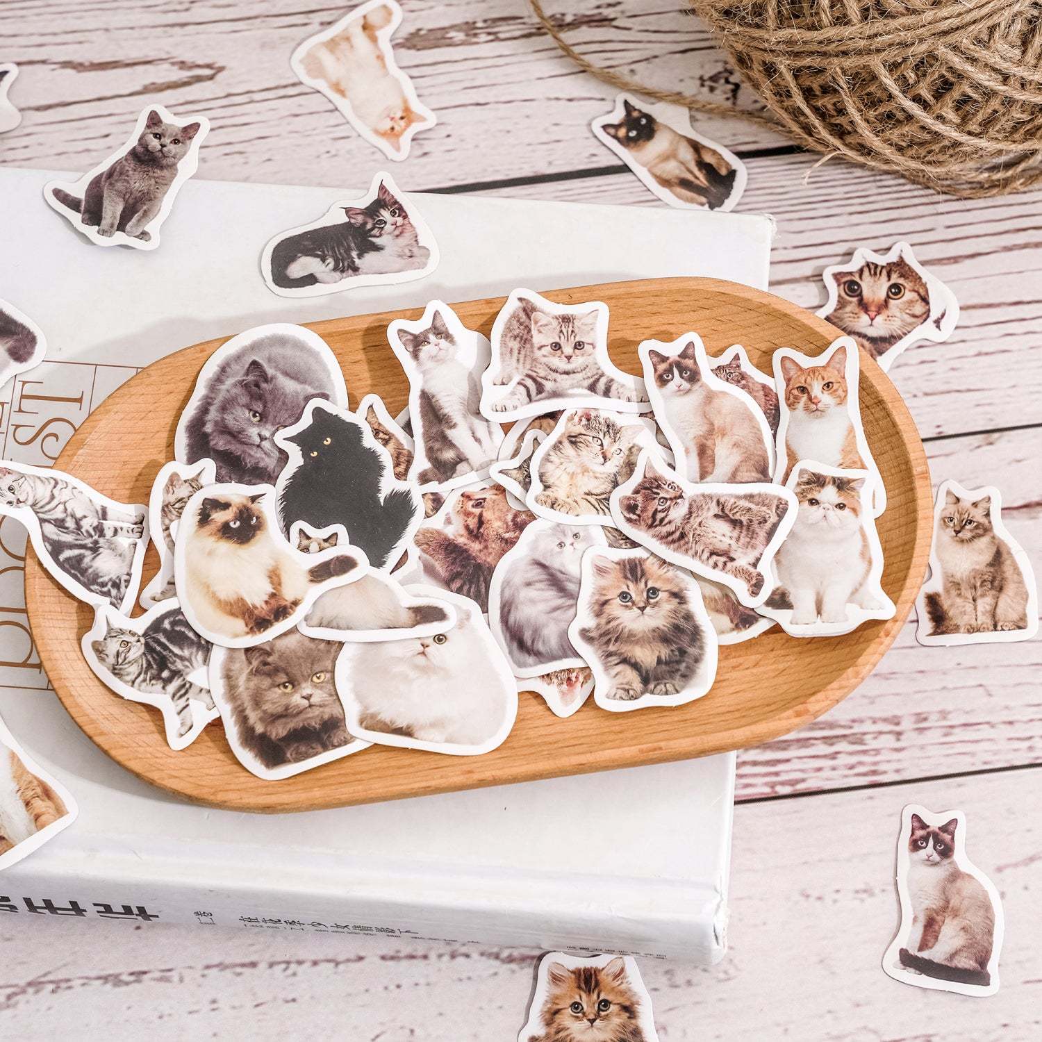 Custom Pet Portrait Paper Stickers