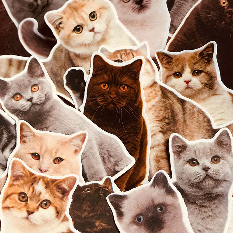 Custom Pet Portrait Paper Stickers