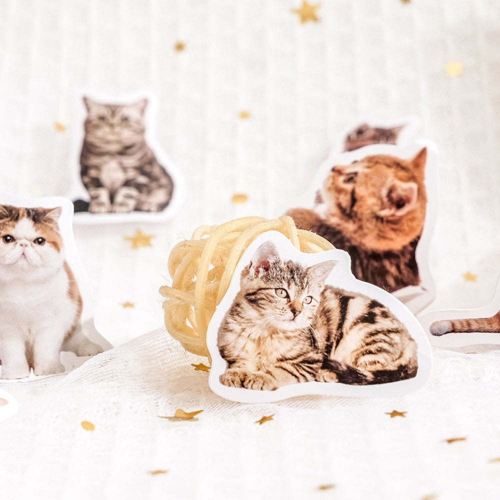 Custom Pet Portrait Paper Stickers