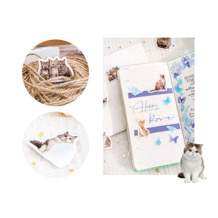 Custom Pet Portrait Paper Stickers