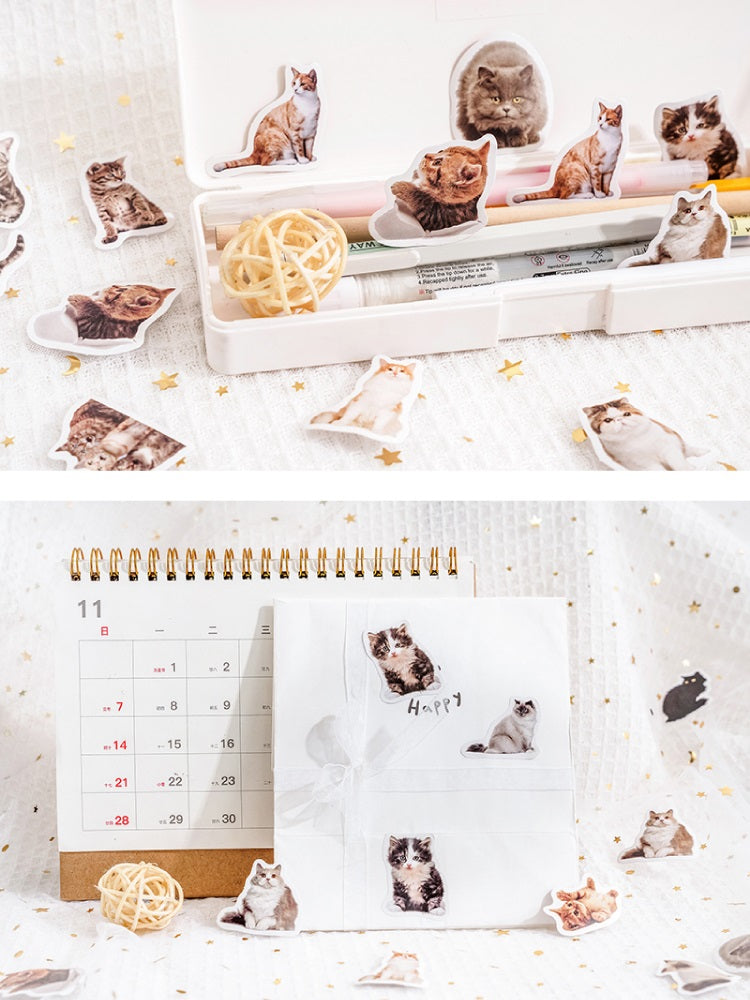 Custom Pet Portrait Paper Stickers