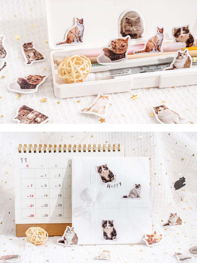 Custom Pet Portrait Paper Stickers