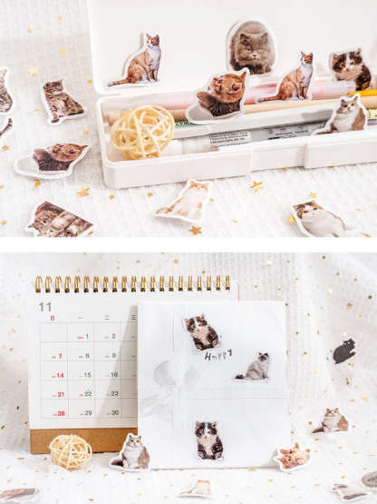 Custom Pet Portrait Paper Stickers