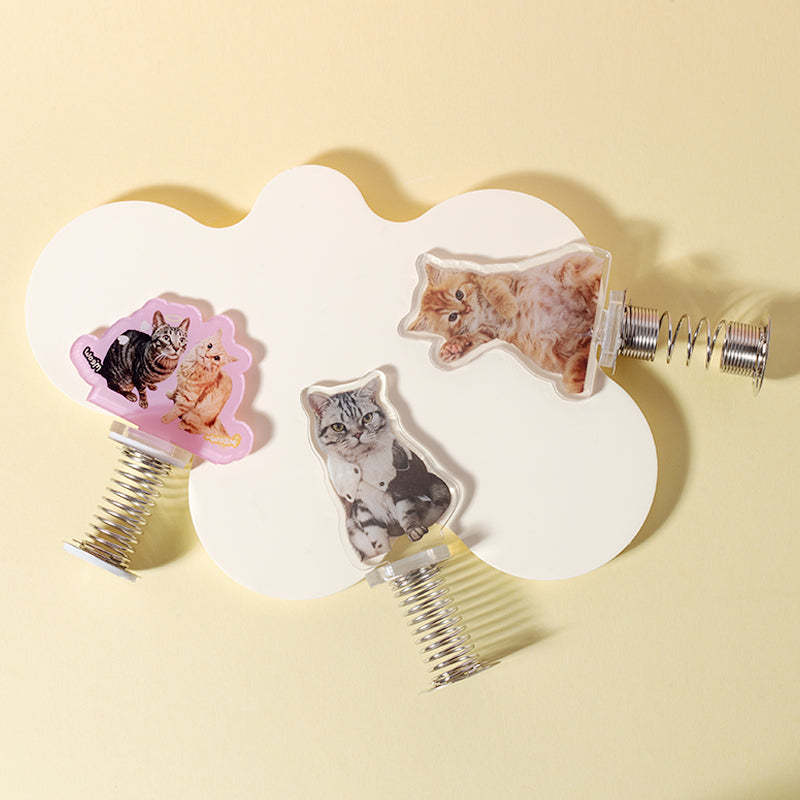 Custom Shaker Acrylic Stand Ornaments