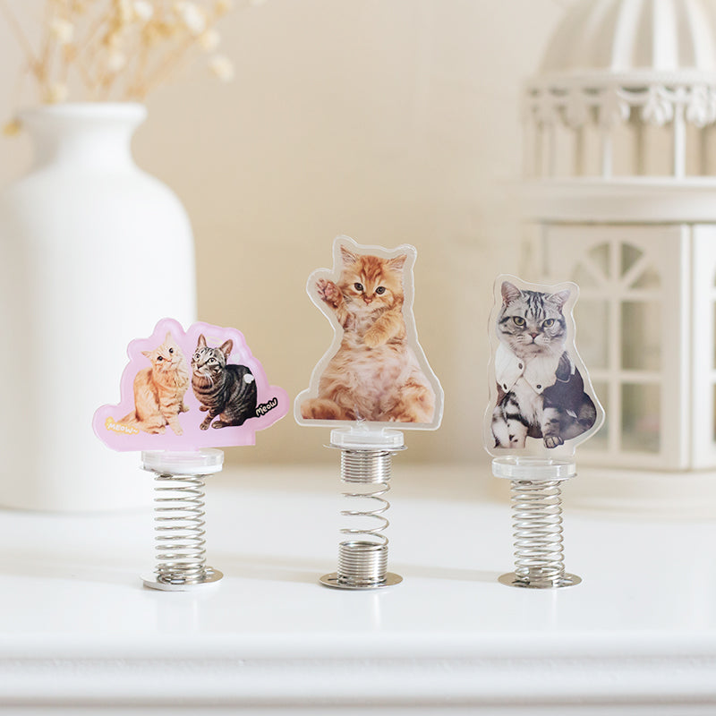 Custom Shaker Acrylic Stand Ornaments