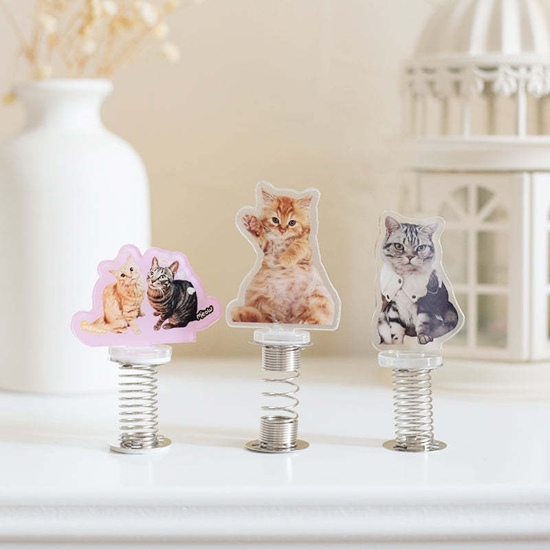Custom Shaker Acrylic Stand Ornaments