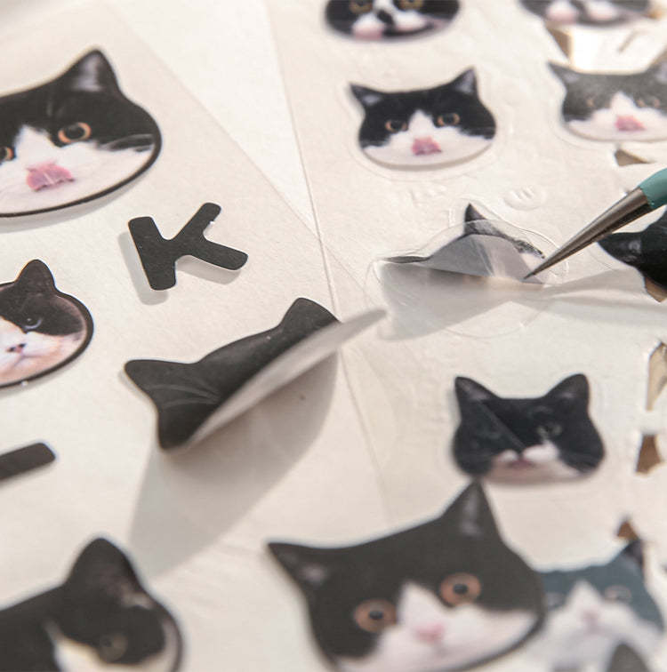 Customizable 3D Pet Stickers - Personalized Crystal Epoxy Waterproof Decals for Pets