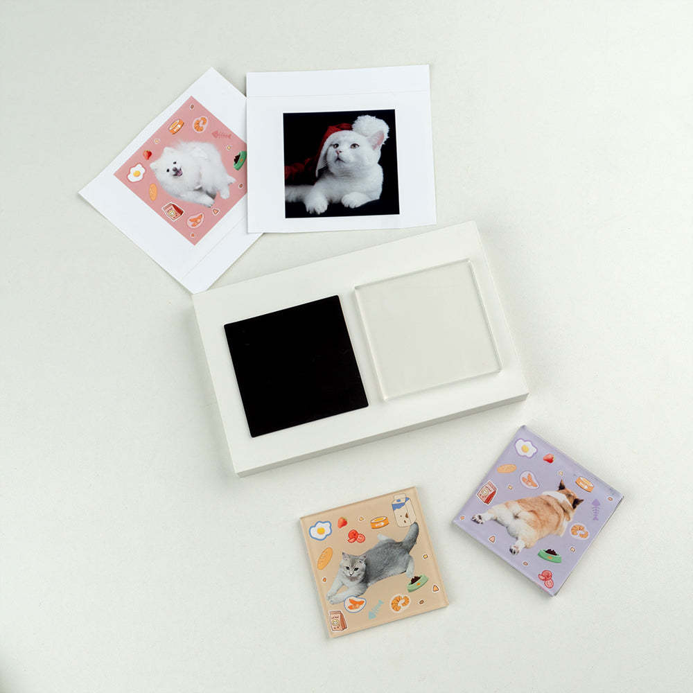 DIY Pet Portrait Fridge Magnet Kit - Create Custom Pet Photo Magnets
