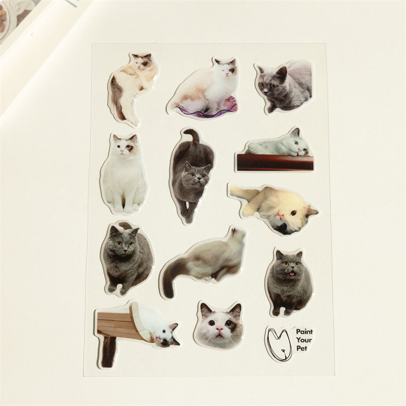 Custom 3D Crystal Epoxy Pet Stickers