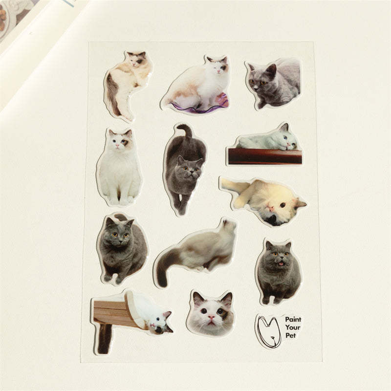 Custom 3D Crystal Epoxy Pet Stickers