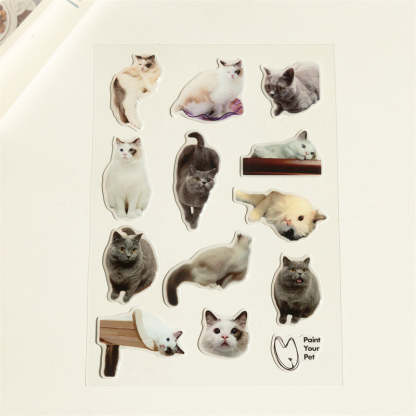 Custom 3D Crystal Epoxy Pet Stickers